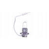 Żarówka samochodowa CarLamp H3 12V 55W PK22s 1szt